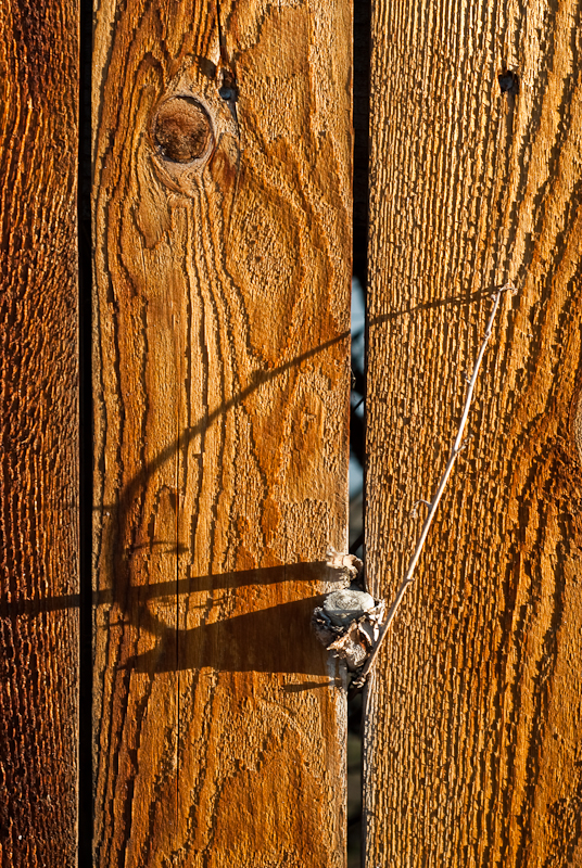 Fence, Sun angle, Shadow